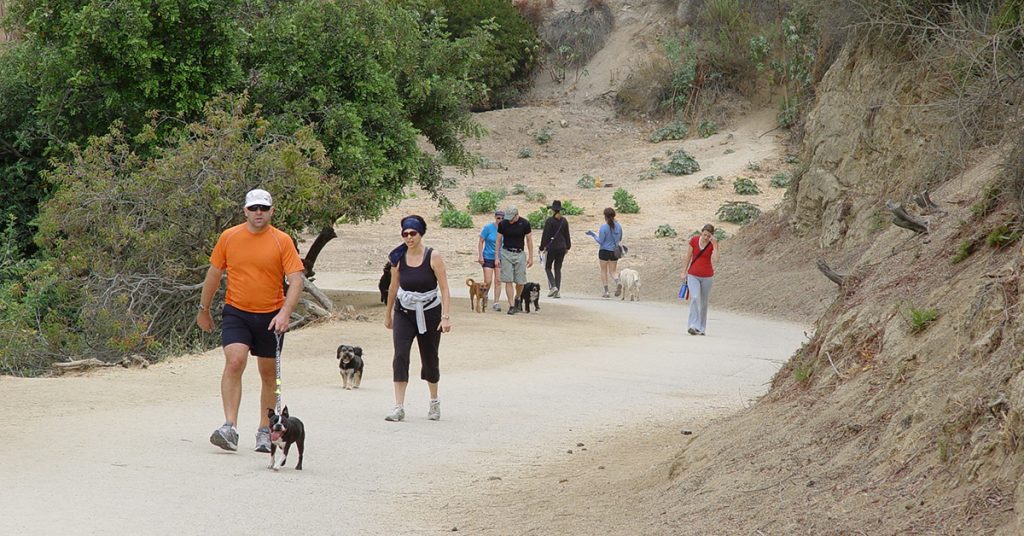 Dog-Parks-in-LA