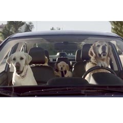Car-maker Subaru woofs the woof, and wags the wag when it comes to dogs