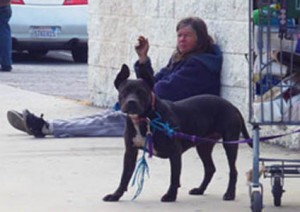 Getting help to the pets of the homeless