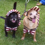 Woofstock-girls-in-hats