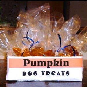 Delightful pumpkin dog treats
