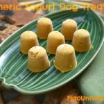 Frozen-treats-for-dogs-with-turmeric.jpg