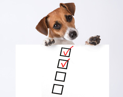 A travel checklist for dogs
