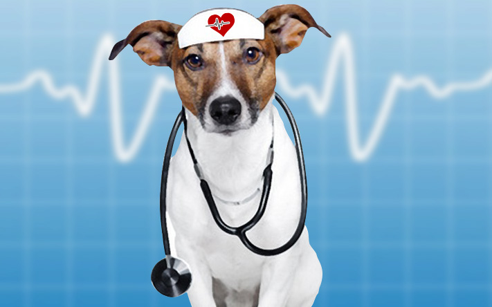 are dogs good for our health