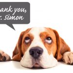 Simon-memorial-saddog