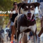 FU-Strut-Your-Mutt-8234_NetworkPartnerSYMPage_header