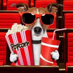 Dog-friendly movies