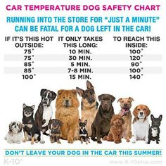 Dogs and heat in cars