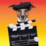 moviedog[1]