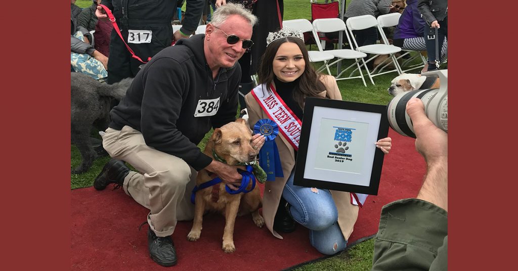 HauteDogs.org Best Senior Dog Award 2019