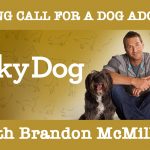 Lucky-dog-Brandon-McMillan-casting-call